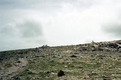 14 Hiking On Whistlers Peak.jpg